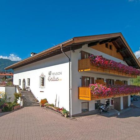 Pension Gallus Лачес Экстерьер фото