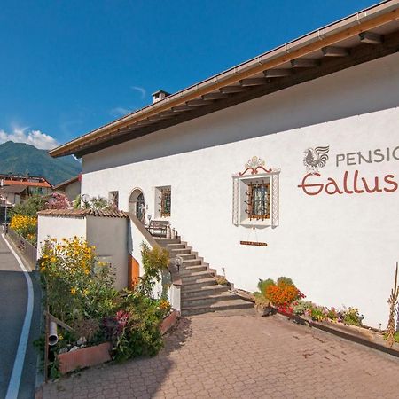 Pension Gallus Лачес Экстерьер фото